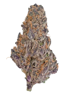 Blue Cherry Gelato